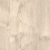 Light Chestnut